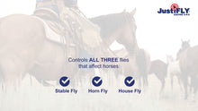 Load image into Gallery viewer, JustiFLY® Equine 8-8-8™ Top Dress (9.75 lb)
