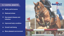 Load image into Gallery viewer, JustiFLY® Equine 8-8-8™ Top Dress (9.75 lb)
